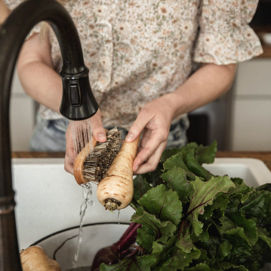 Union Fiber Vegetable Brush