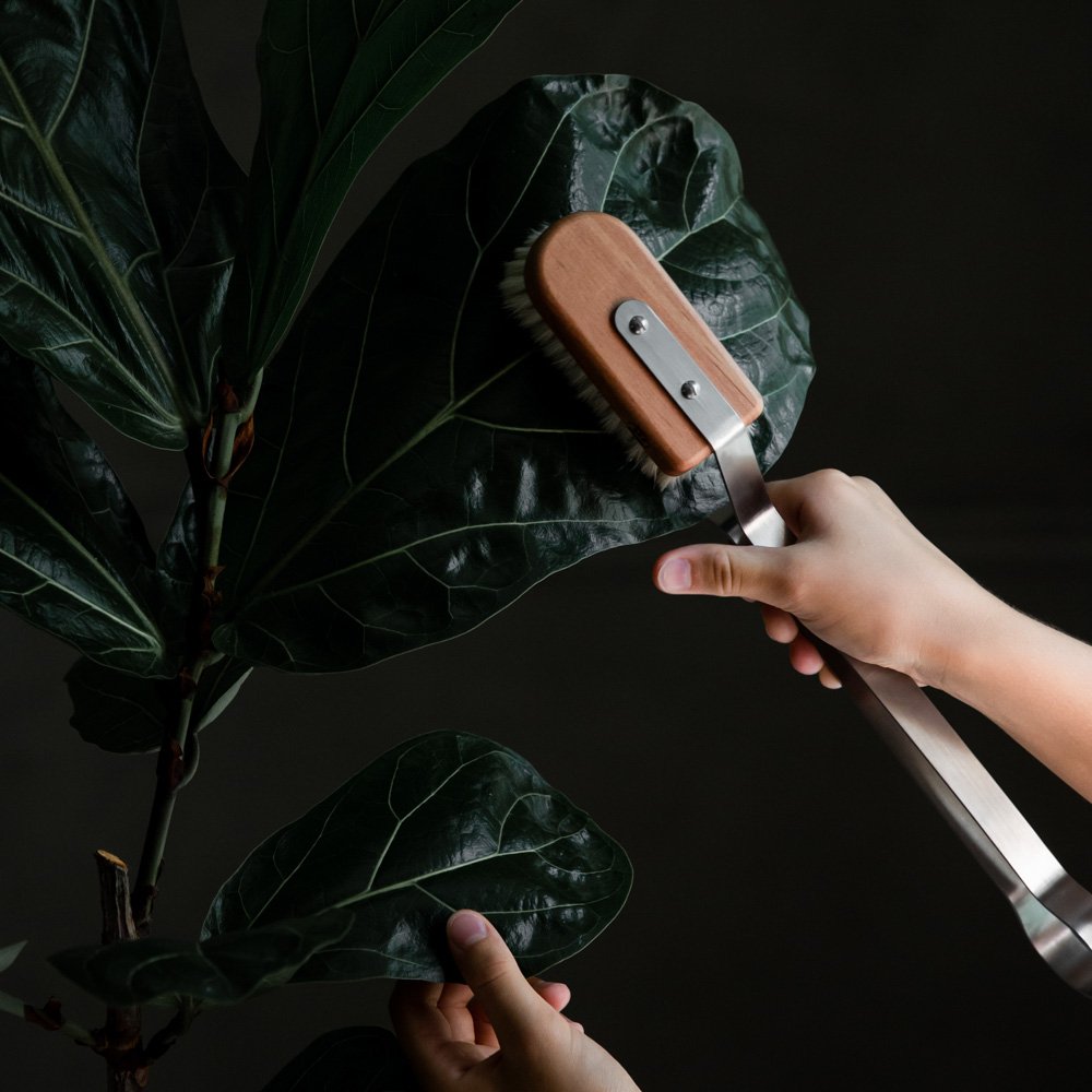 indoor plant leaf brush Leaf Cleaning Brush – Helen Milan