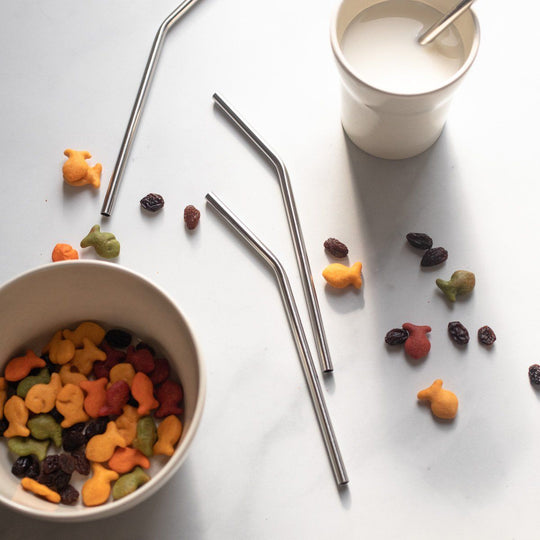 Stainless Steel Straws - Set of 4 | Short