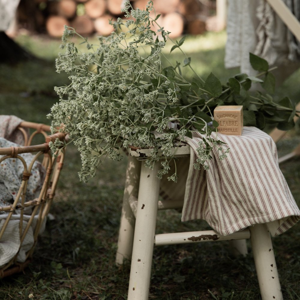 Marius Fabre Marseille Soap for the Laundry