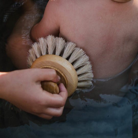 Bath Brush With Knob